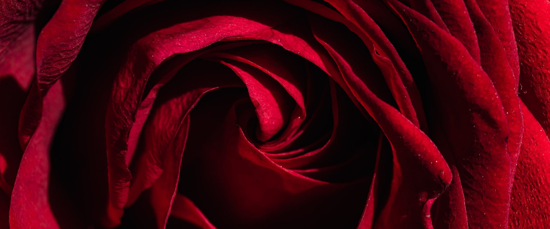 Events at The Lansbury